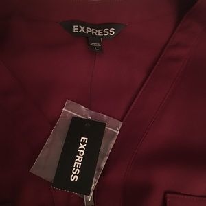 NWT Express dress